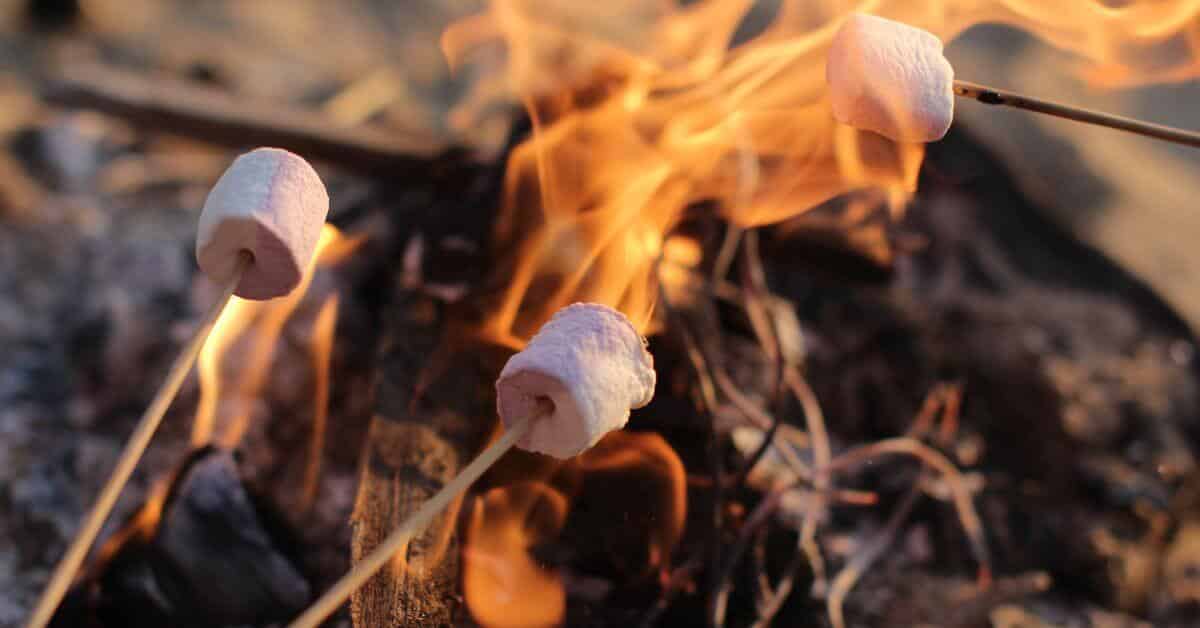 Marshmallows roasting over an open campfire, summer injuries, personal injury attorneys